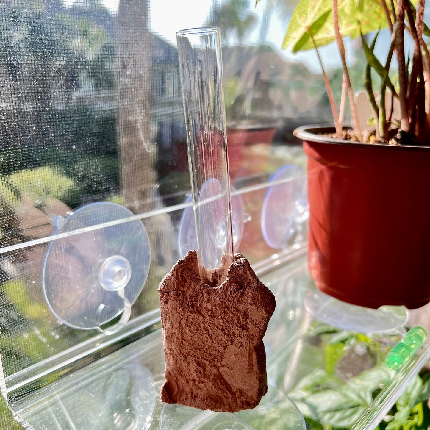 Prop Rock - Hand sculpted plant propagation stand with glass vessel