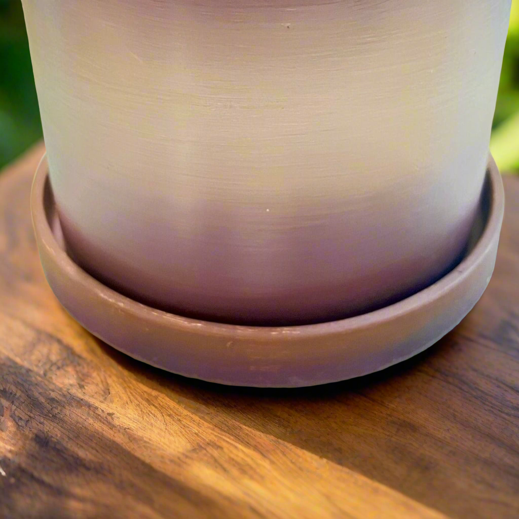 Drip Plate For Your Plant Pot - water catch tray, plant saucer