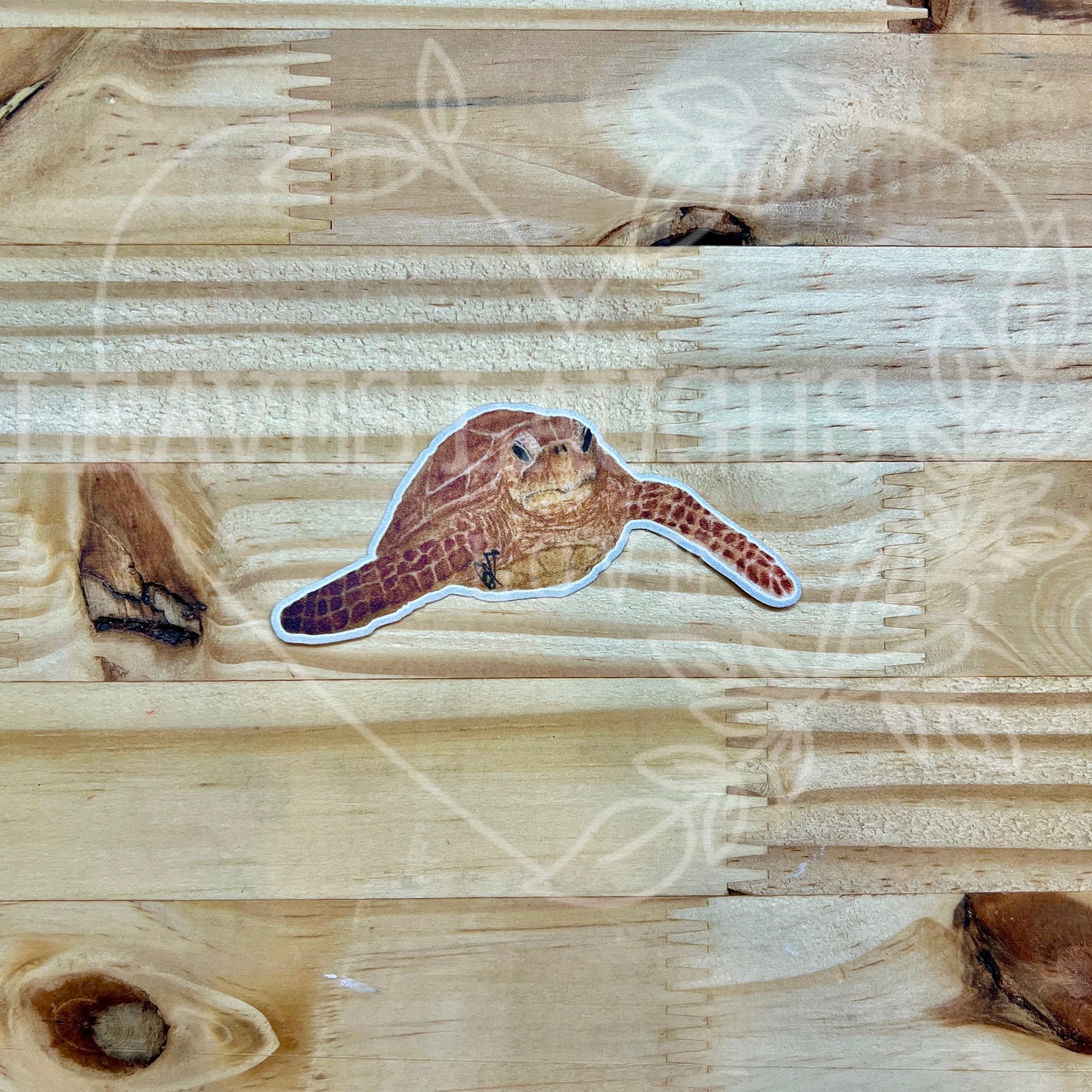 Sea Turtle Signed Watercolor Print Sticker