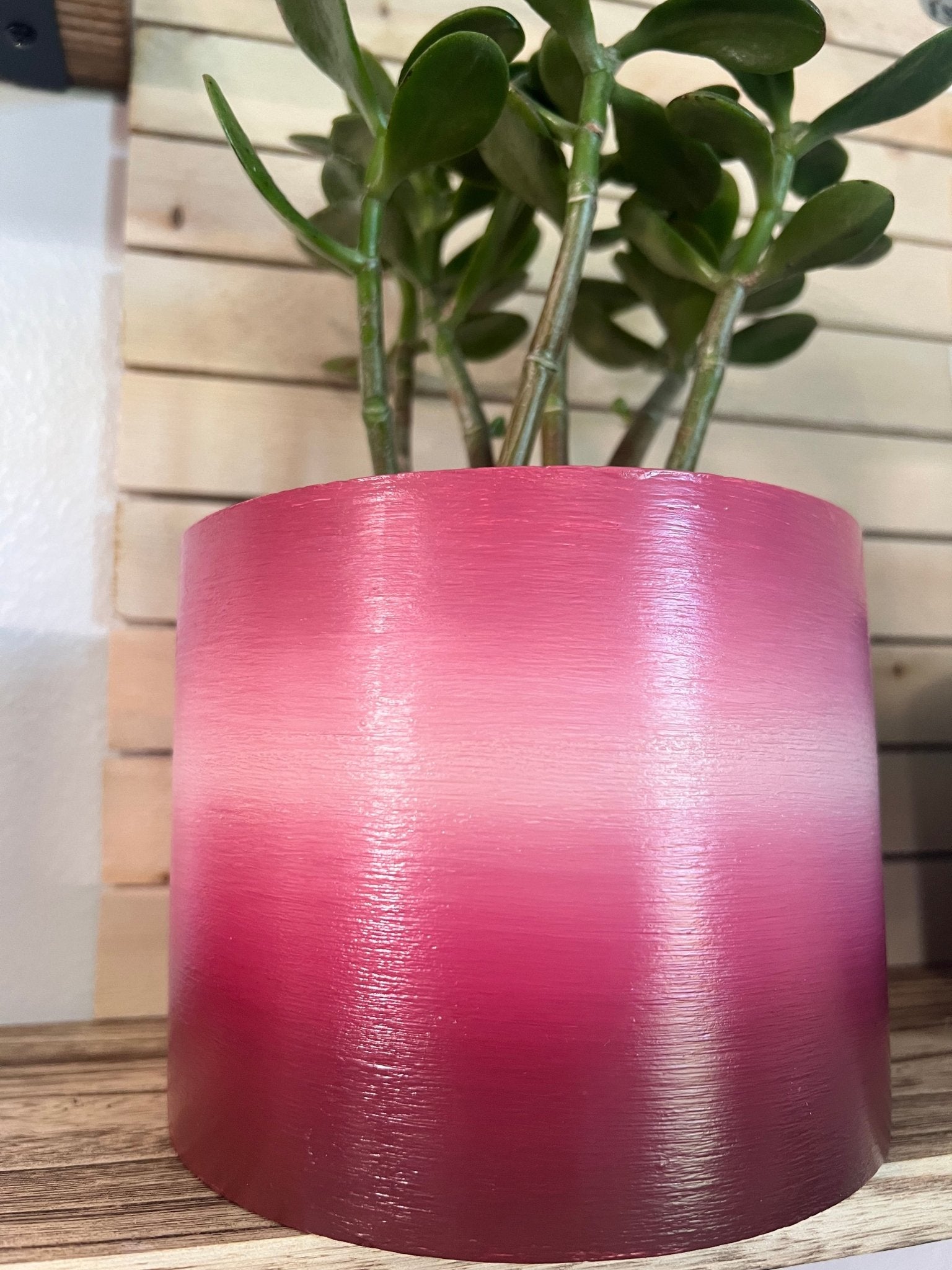 Ombré 5.5 inch Cylinder PlanterPlant PotsLeaves Laughs LoveLeaves Laughs LoveDeep Sea5 inch