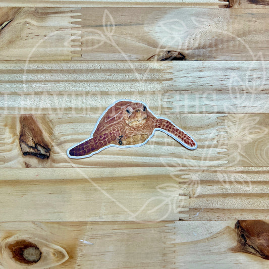 Sea Turtle Signed Watercolor Print Sticker