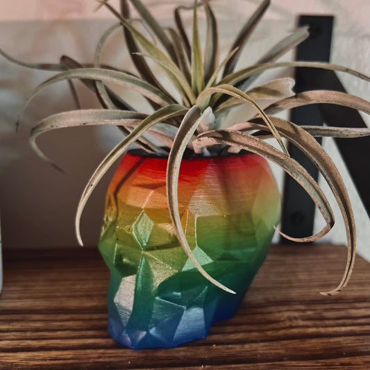 Geometric Hand-Painted Skull Air Plant Tool Holder