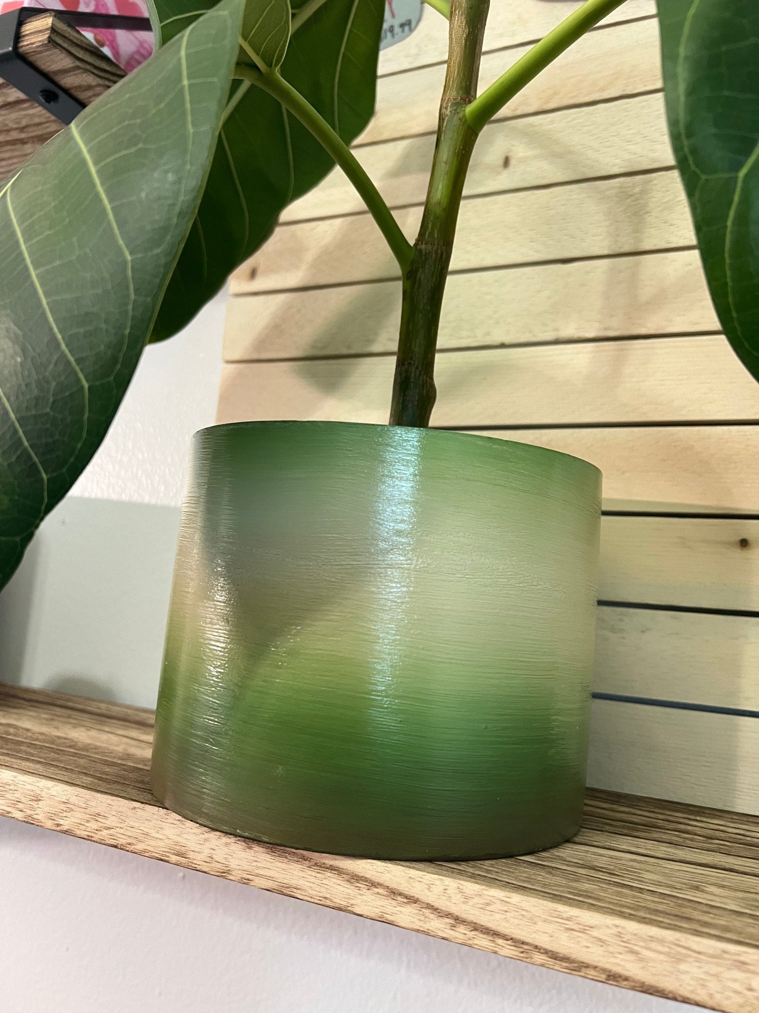 Ombré 5.5 inch Cylinder PlanterPlant PotsLeaves Laughs LoveLeaves Laughs LoveDeep Sea5 inch